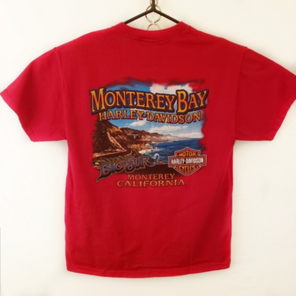 Harley Davidson Men's tee shirt size large